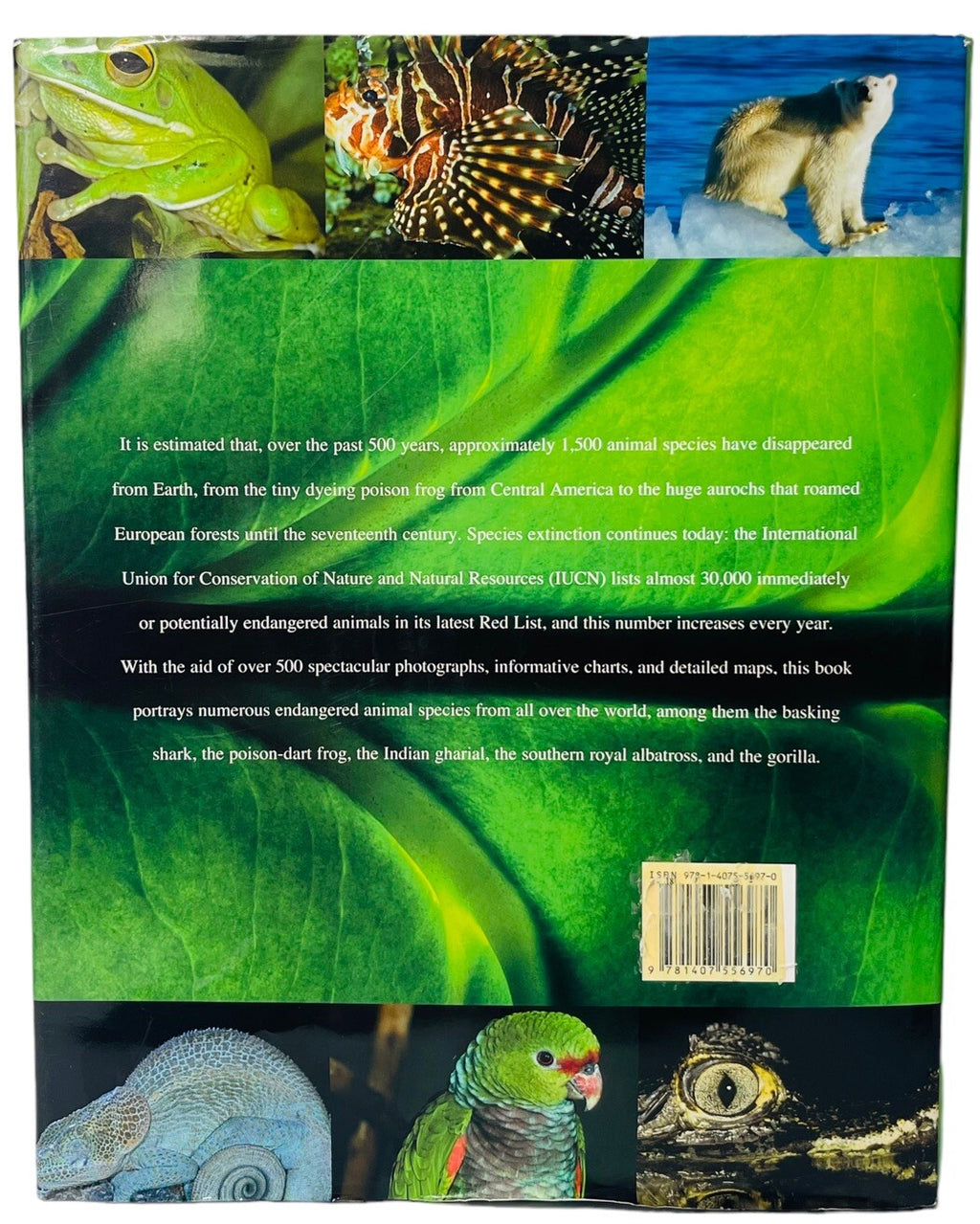 Endangered Animals, Threats to Their Habitats, COLOR PHOTOS~HARDCOVER BOOK~MINT