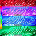 LED Strip Lights Brightest RGB+CCT Flexible 270LEDs/Meter 5050 RGB+2835~16.4Ft.