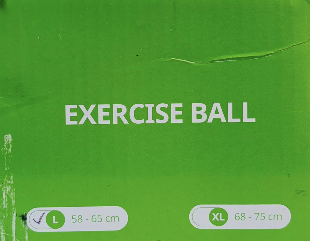 Trideer Exercise Ball Extra Thick Yoga Ball Chair Heavy Duty Stability Ball NEW