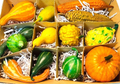 Wax Harvest Fruit Mix Realistic Decoration Display, Artificial 13-Peice Set
