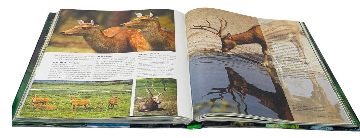 Endangered Animals, Threats to Their Habitats, COLOR PHOTOS~HARDCOVER BOOK~MINT