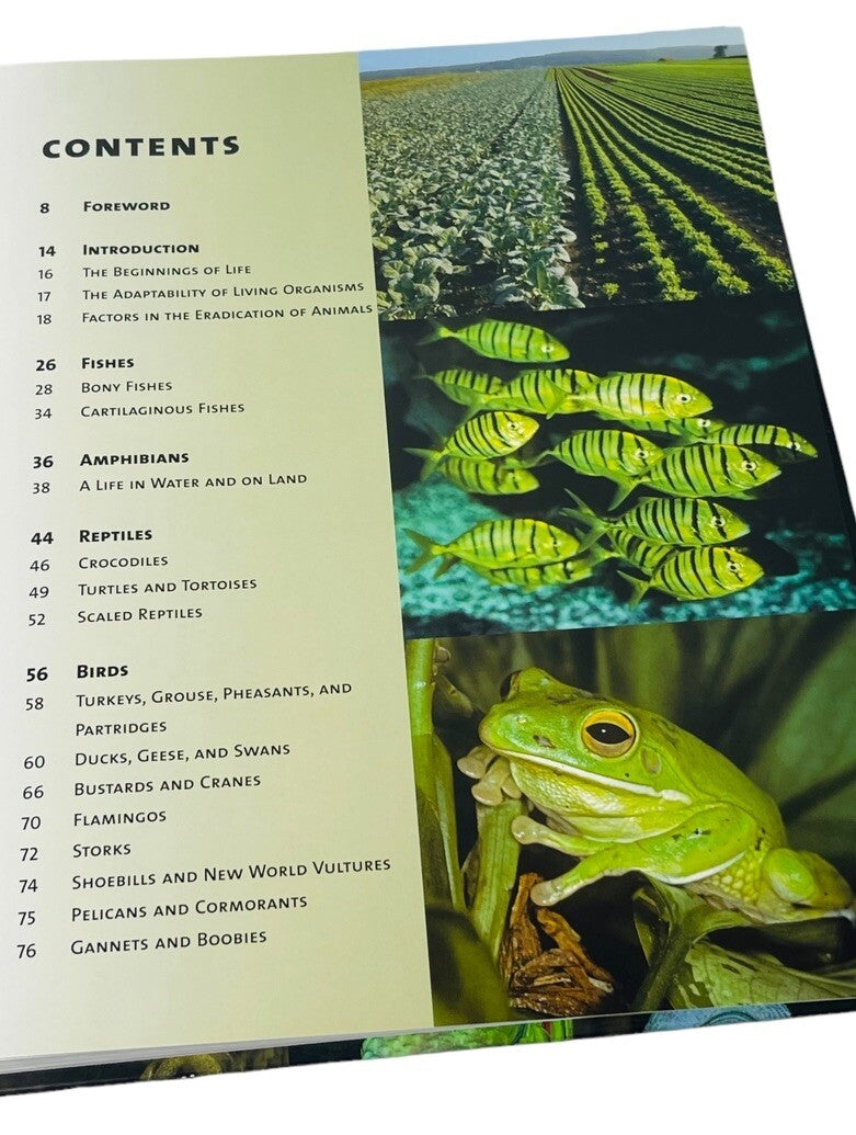 Endangered Animals, Threats to Their Habitats, COLOR PHOTOS~HARDCOVER BOOK~MINT