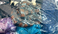 100% Mix Fibers Yarn Make 5-Scarves Net Weight 16 Oz. Fashion Pack